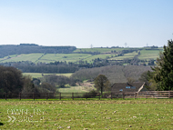 FB260322-129 - Fergal O'Brien Stable Visit